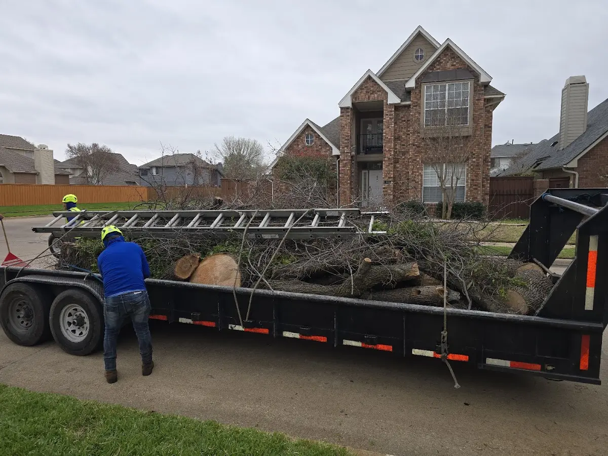 Expert Tree Pest Control with proper safety equipment in Salt Lick